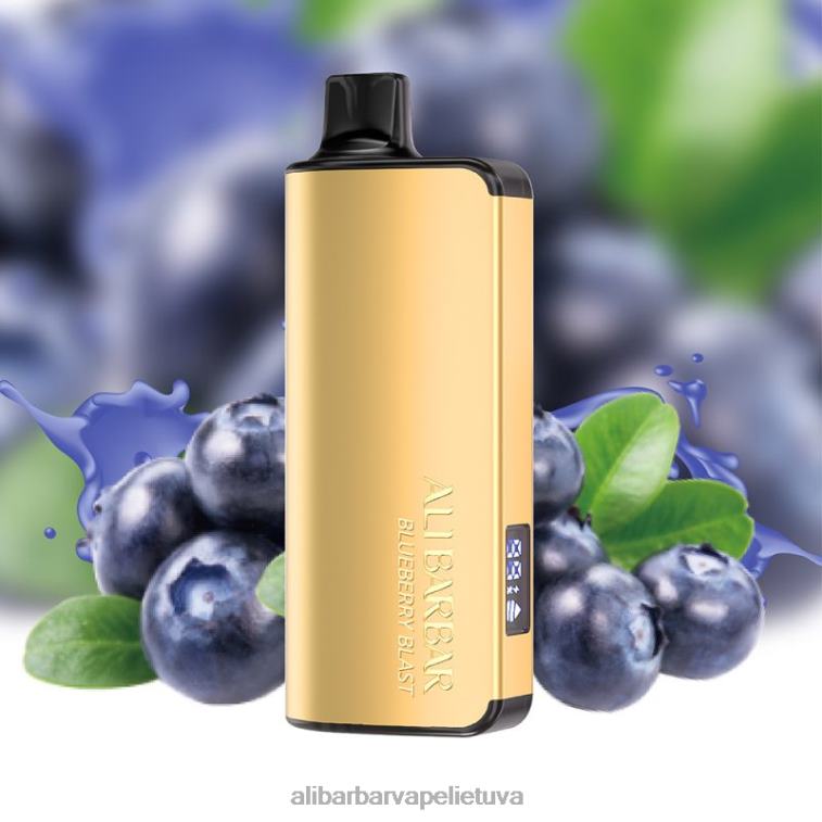 Alibarbar Vape Flavours mėlynių sprogimas - Alibarbar Ingot 20000 vienkartinių garų L62T231