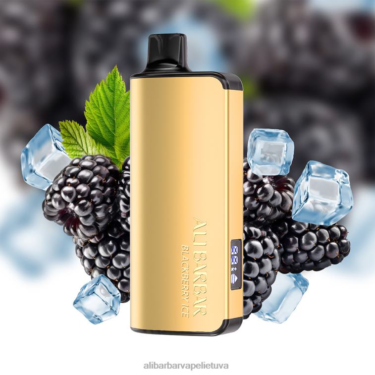 Alibarbar Vape Review mėlynių sprogimas - Alibarbar Ingot 9000 vienkartinių vape L62T215