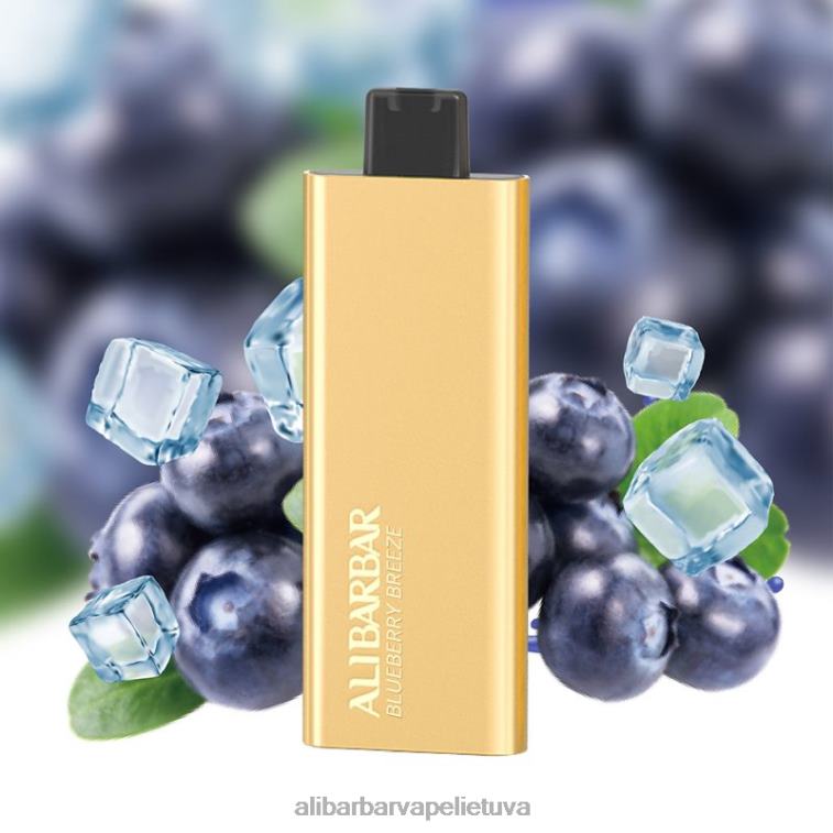 Alibarbar Vape Review mėlynių vėjas - Alibarbar Pandora 7000 vienkartinių vape L62T251