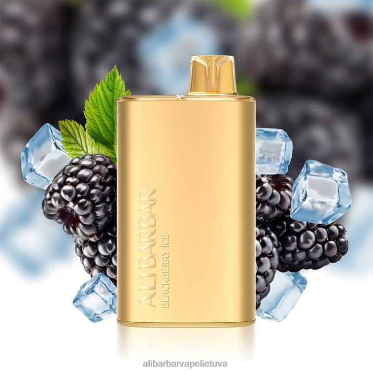 Alibarbar Vape Flavours skonio ruletė - Alibarbar Rich 8000 vienkartinių vape L62T21
