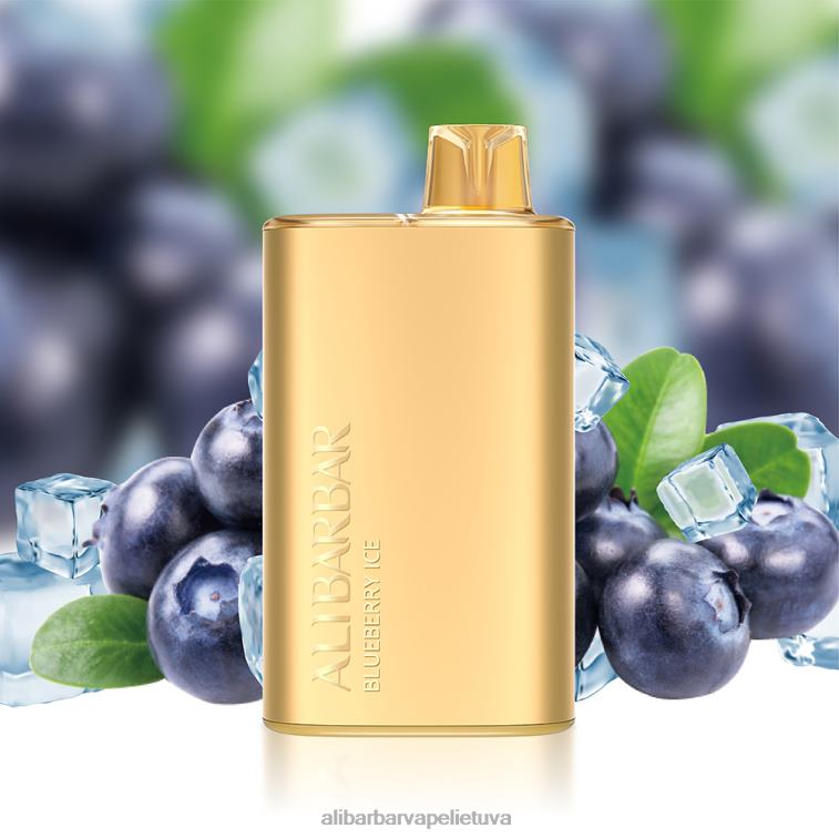 Alibarbar Vape Flavours skonio ruletė - Alibarbar Rich 8000 vienkartinių vape L62T21